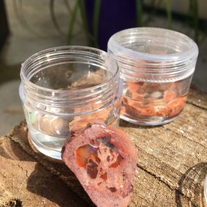 RAW CRYSTALS & MINERALS fire opal mexico jar