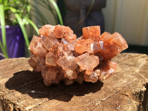 RAW CRYSTALS & SPECIMENS aragonite star cluster individualy priced