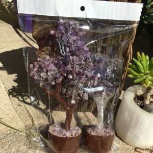 BOXED & BAGGED ITEMS amethyst trees