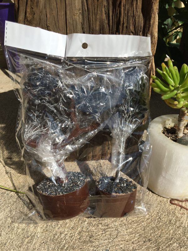 BOXED & BAGGED ITEMS black agate trees