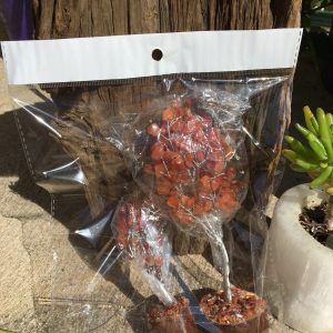 BOXED & BAGGED ITEMS carnelian trees