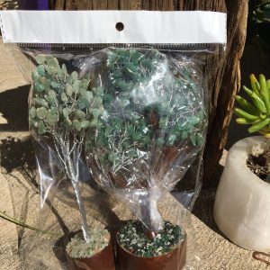 BOXED & BAGGED ITEMS green aventurine trees
