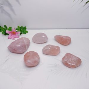 Palm Stones and Large Tumbled Stones